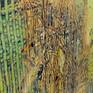 Close up detail of texture