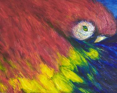 Original Expressionism Animal Paintings by Kevi sual