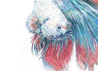 Original Expressionism Fish Paintings by Kevi sual