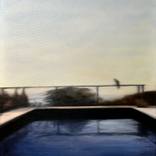 Pool with cat by Béla Dohárszky