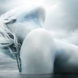 Arctic Beauty #02 by Michael David Adams