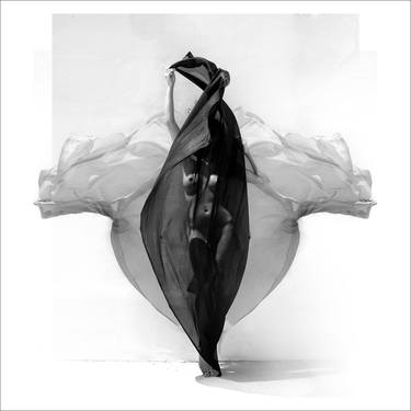 Original Abstract Nude Photography by Michael David Adams