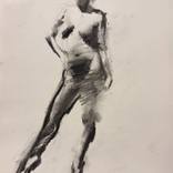 Collection Drawings