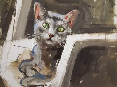 Original Cats Paintings by Guido Mauas
