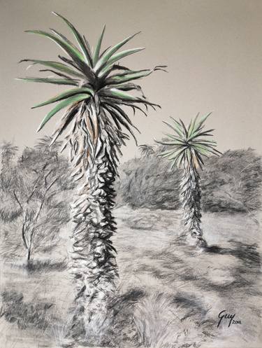 Print of Fine Art Nature Drawings by Guy McGowan