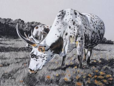 Print of Cows Drawings by Guy McGowan