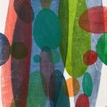 Collection Small Scale