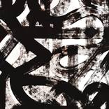 Collection Work on Paper