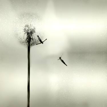 Original Conceptual Abstract Photography by Carla Ciuffo