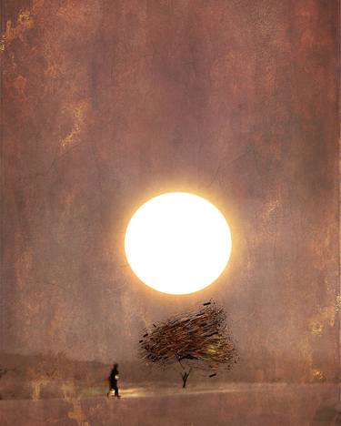 Original  Photography by Carla Ciuffo