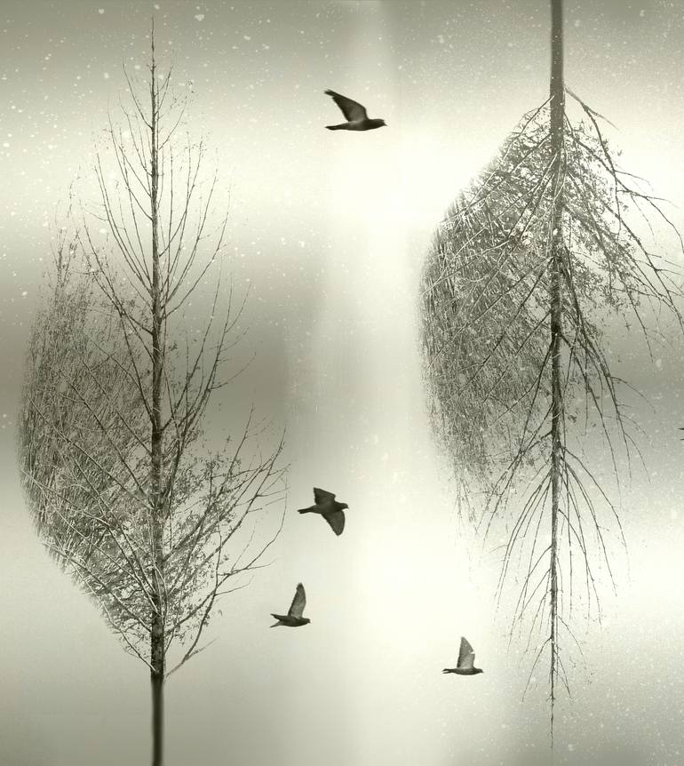 Original Abstract Nature Mixed Media by Carla Ciuffo