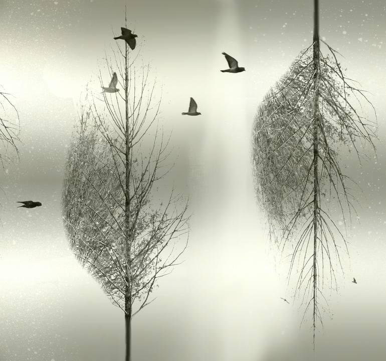 Original Nature Mixed Media by Carla Ciuffo