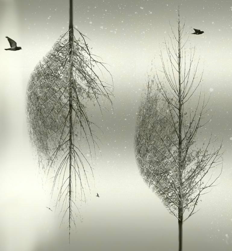 Original Nature Mixed Media by Carla Ciuffo