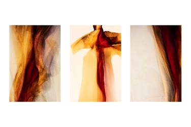 Triptych Six - Limited Edition 1 of 25 thumb