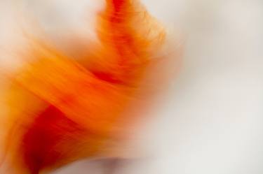 Original Conceptual Abstract Photography by Peter Iverson