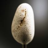 Stone-eight - Limited Edition 50 of 50 by Peter Iverson