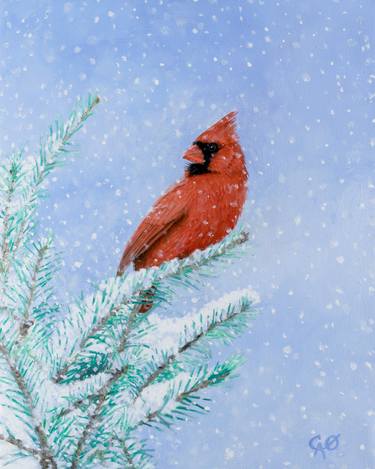 Snowy Cardinal thumb