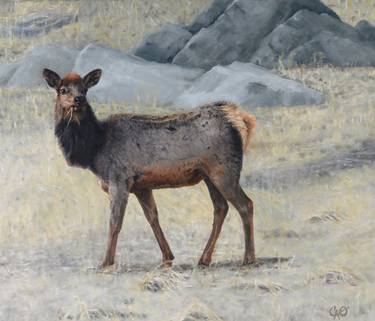 Original Realism Animal Paintings by Christine O'Brien