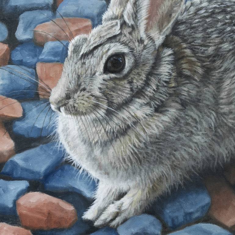 Original Realism Animal Painting by Christine O'Brien