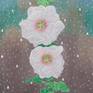 "Hollyhock Halo White Alcea Rosea"