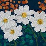 Cosmos Daisies at Night by Christine O'Brien