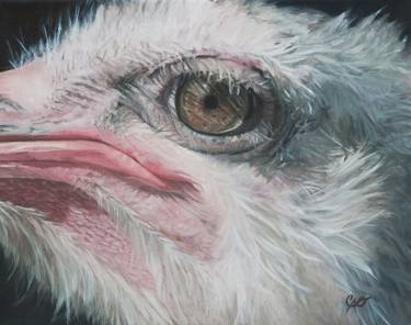 Original Photorealism Animal Paintings by Christine O'Brien