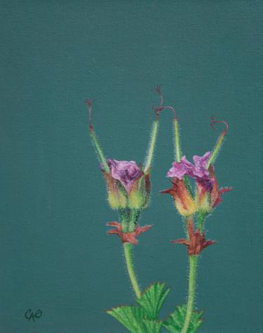 Original Floral Paintings by Christine O'Brien