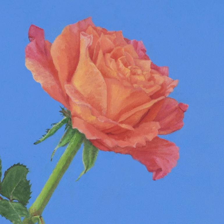 Original Realism Floral Painting by Christine O'Brien