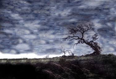 Original Surrealism Landscape Photography by Wayne King