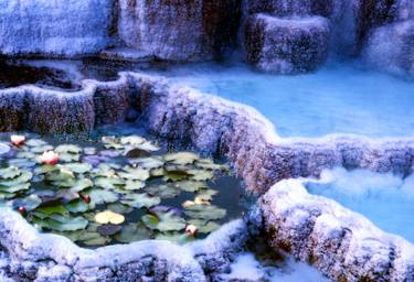 Hot Springs and Lilies thumb