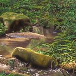 creek near prague by jonathan keeton