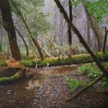 Cataract Creek02 by jonathan keeton