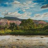 Cottonwood on Chama River by jonathan keeton