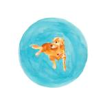 Golden Retriever by Kelsie Greenberg