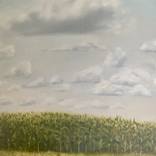 Plein Air: Cornfield by the Mennonite Church, Pennsylvania by rhea cutillo