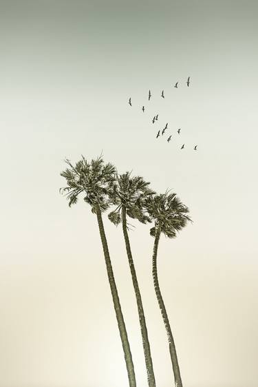 Vintage palm trees at sunset thumb