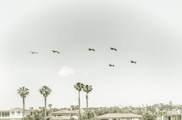 Above the rooftops of San Diego | Vintage thumb