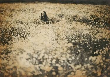 Original Documentary Floral Photography by Yuumi Ishida