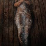 The Misteries of Ophelia by Antero Guerra Inácio