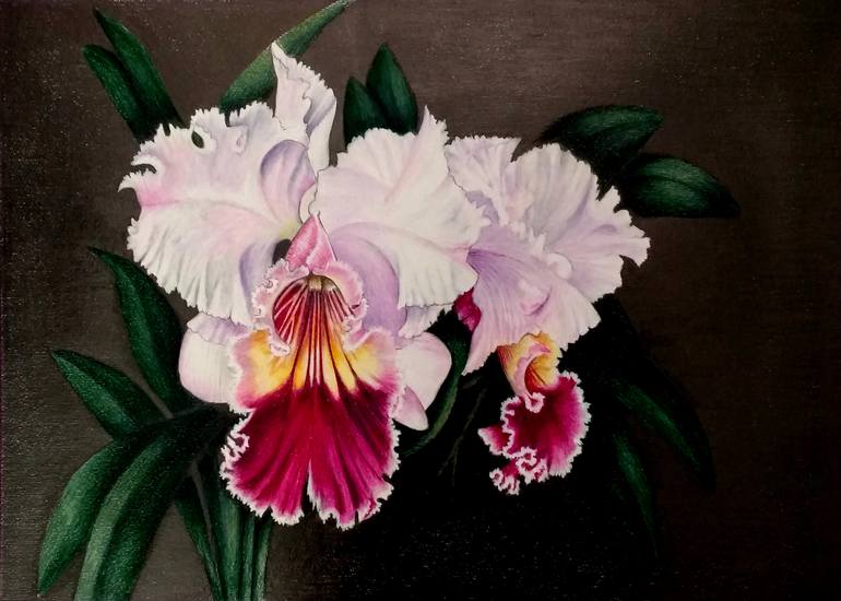 ORQUIDEAS Drawing By Nicky Chiarello | Saatchi Art