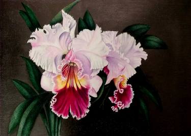 Print of Fine Art Floral Drawings by Nicky Chiarello