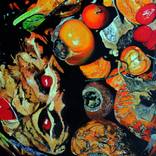 Collection Nature