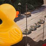 Collection Rubber Ducky