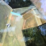 Collection Abstracts