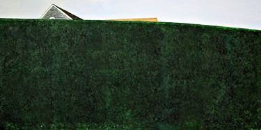Hedges: The Lawn VIII thumb