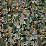 Collection Overview Series