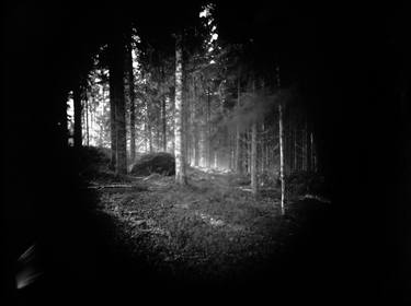 Print of Conceptual Landscape Photography by Anna Lilleengen