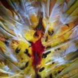 Collection Contemporary Glass Projection Sculpture