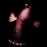Collection Strange Fish