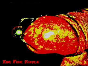 The Fire Turtle thumb